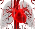 Study links atrial fibrillation to poorer brain clearance and cognitive decline