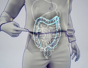 How do diet, smoking, alcohol, and stress reshape the female microbiome?