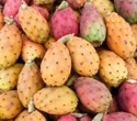 Prickly pear may pack a surprising punch against metabolic syndrome