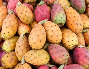 Prickly pear may pack a surprising punch against metabolic syndrome