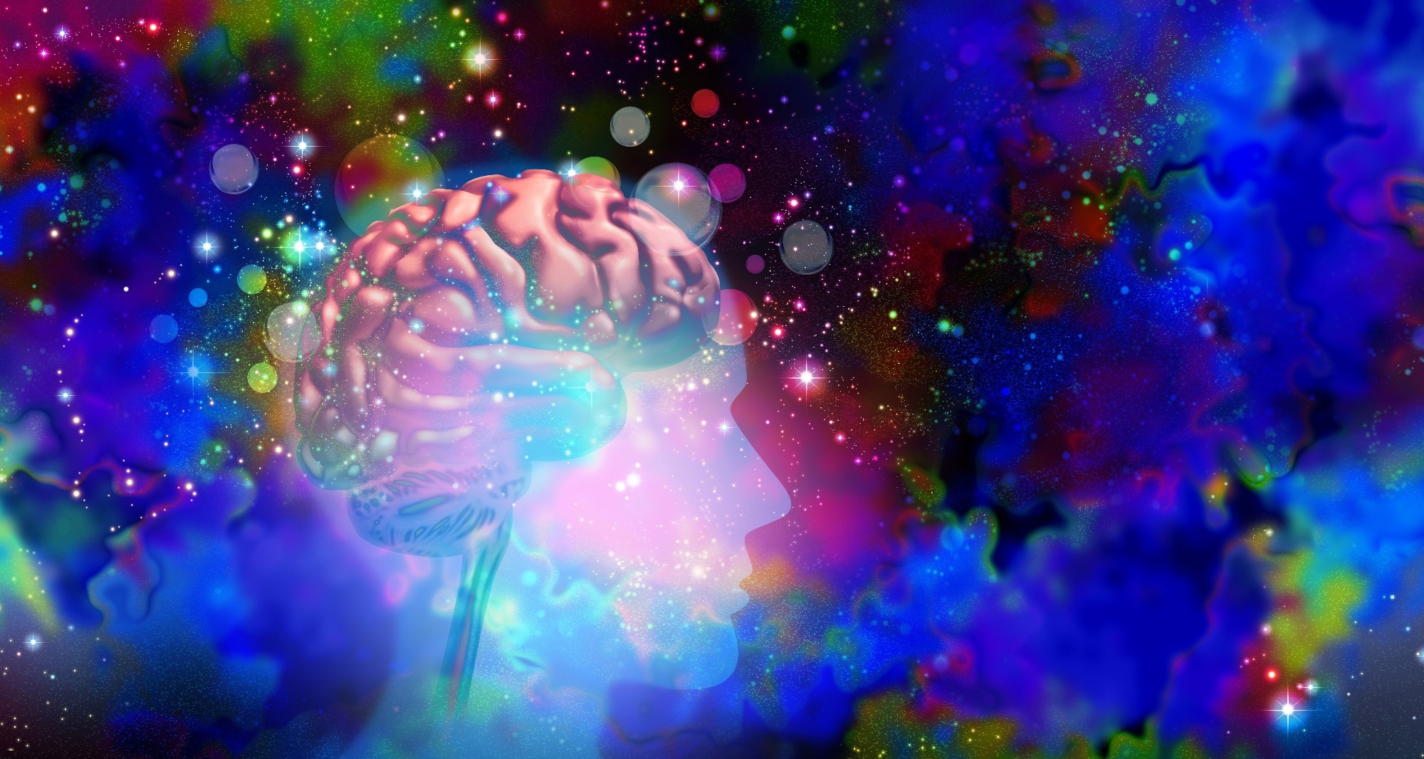 Study: An international mega-analysis of psychedelic drug effects on brain circuit function. Image Credit: Lightspring / Shutterstock