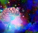 What happens in the brain on psychedelics? Scientists identify a common circuit pattern