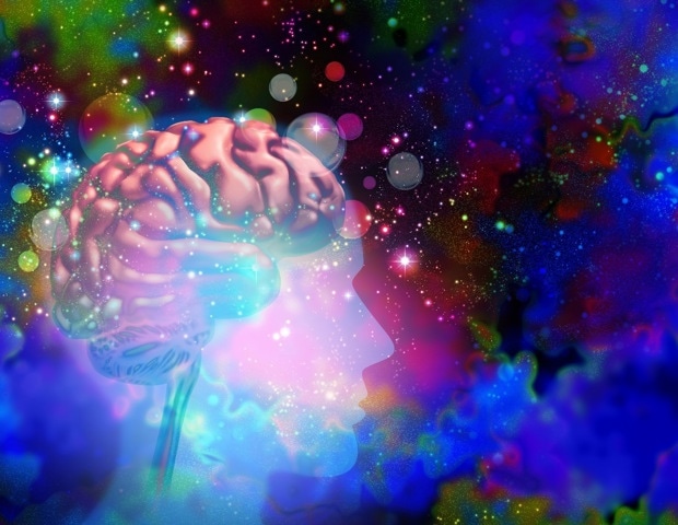What happens in the brain on psychedelics? Scientists identify a common circuit pattern