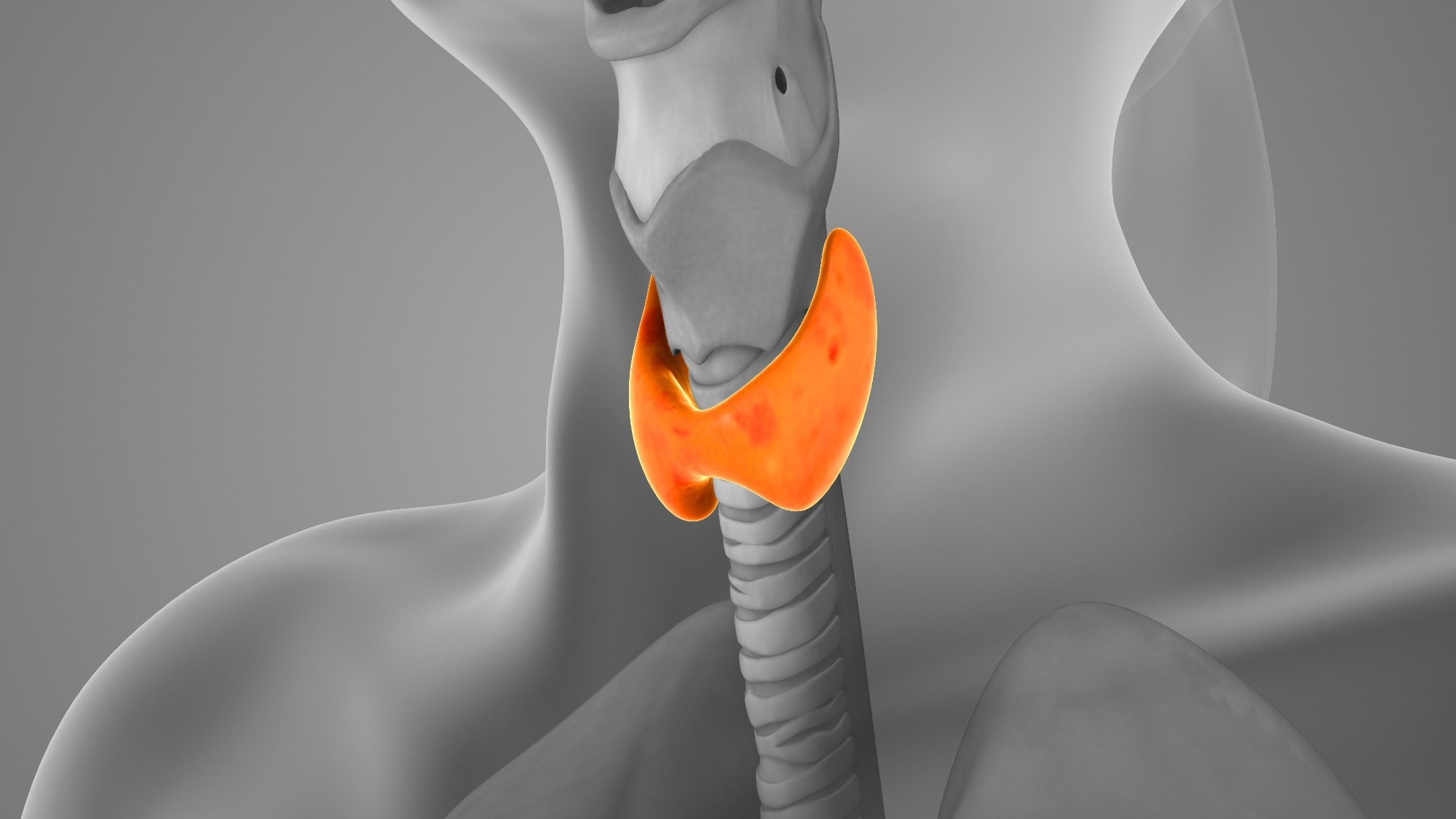 Review: The role of nutrition on thyroid health and disease: myths and facts. Image Credit: JitendraJadhav / Shutterstock