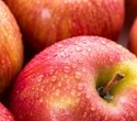 Study shows why an apple a day may work differently for different people