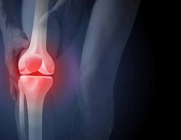 Study links ultra-processed food intake to poorer thigh muscle quality