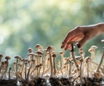 Psychedelic use is associated with major life changes across 10 domains