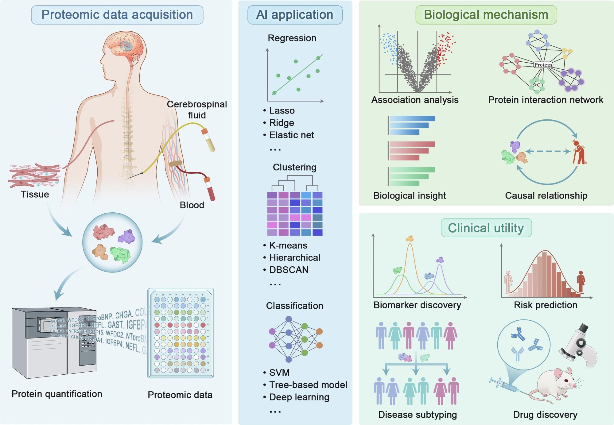 Proteomics And Ai Bring Earlier Risk Prediction Into Sharper Focus