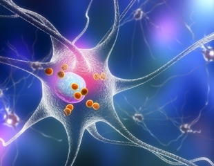 Gut microbiome clues may help spot Parkinson’s disease in its earliest phase