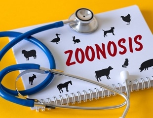 Scientists map 239 human-infective RNA viruses to track future outbreak risks