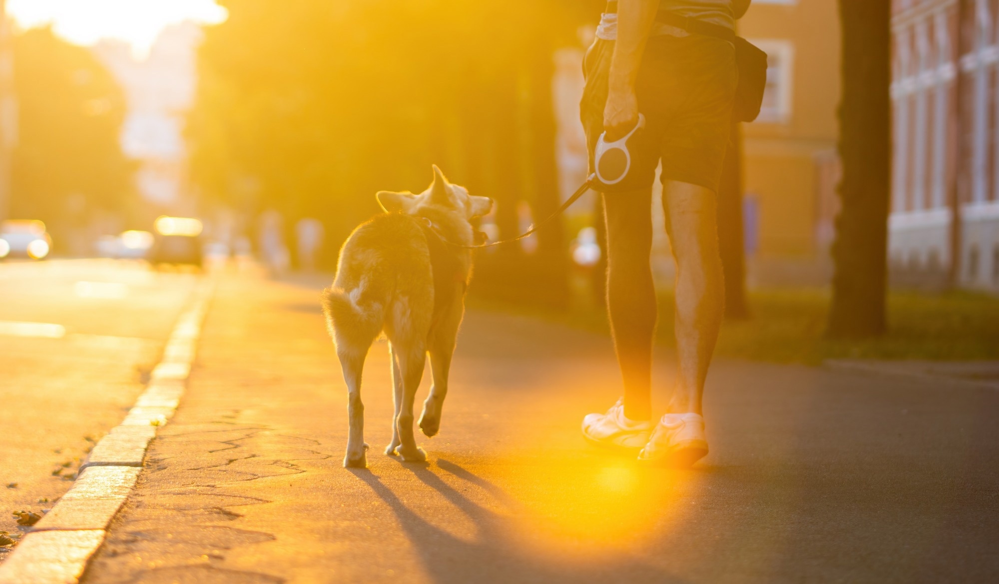 Brief walking breaks help the body control sugar after carb-rich meals