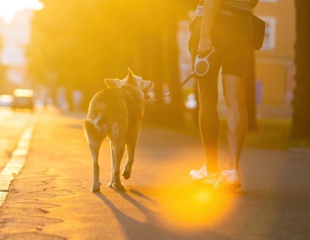 Brief walking breaks help the body control sugar after carb-rich meals