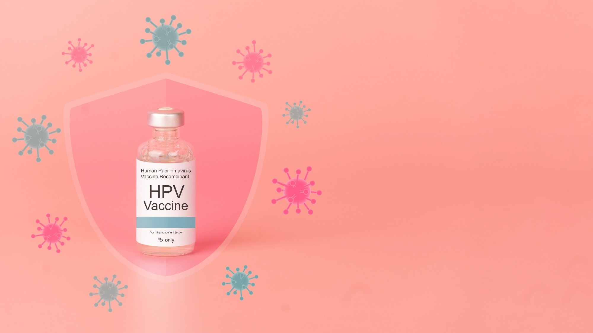 Human papillomavirus (HPV) vaccine bottle with glass shield and virus on pink background. HPV vaccine protects against certain types of HPV that can cause cervical cancer.