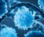 Food timing may shape how T cells respond to infection and therapy