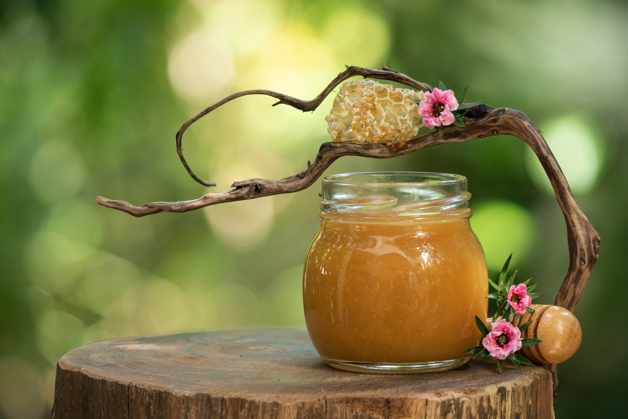 Manuka honey and flowers on nature background.