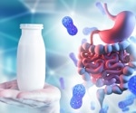 How a common gut bacterium  may protect health