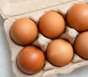 Eating eggs regularly reduces Alzheimer’s disease risk