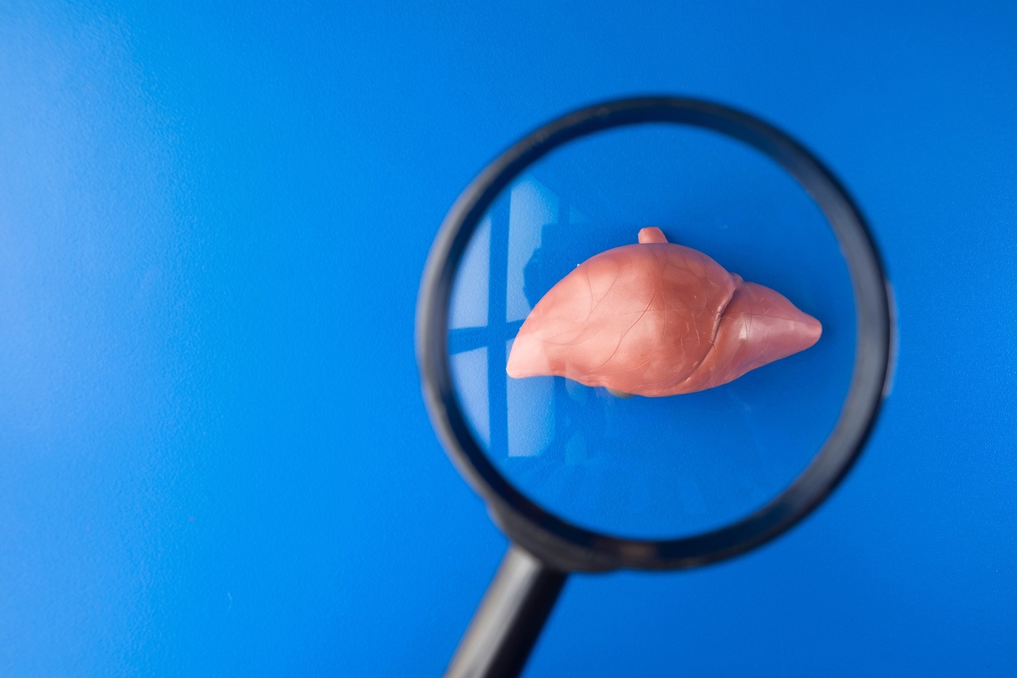Study: Increased Early Postprandial Glucagon Concentrations in Humans With Newly Diagnosed Type 2 Diabetes and Steatotic Liver Disease. Image Credit: Yunus Nugraha / Shutterstock
