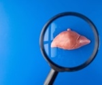 Liver fat may disrupt post-meal glucagon control in early type 2 diabetes