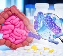 Gut microbes may reveal why diabetes raises heart disease risk