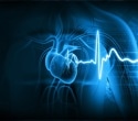 AI beats primary care doctors in simulated diagnosis study using images and ECGs