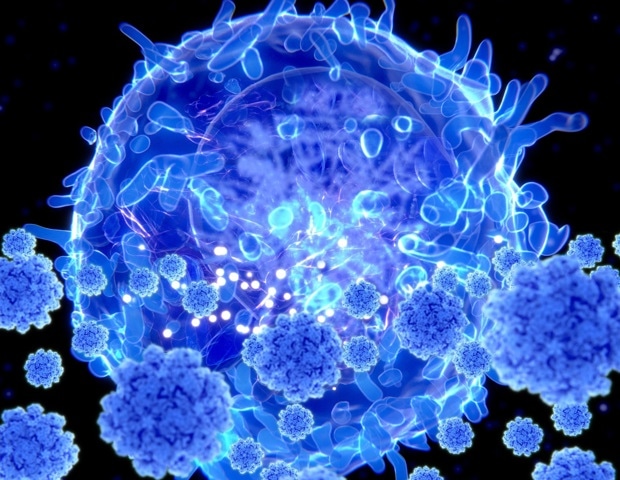 Aged immune cells may drive memory decline by releasing a brain-aging protein