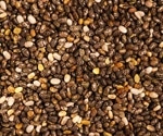 Chia seeds may boost fetal brain DHA during obesity-linked pregnancy