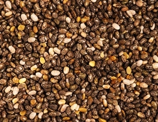 Chia seeds may boost fetal brain DHA during obesity-linked pregnancy