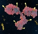 How antibody-drug conjugates are redefining targeted cancer therapy