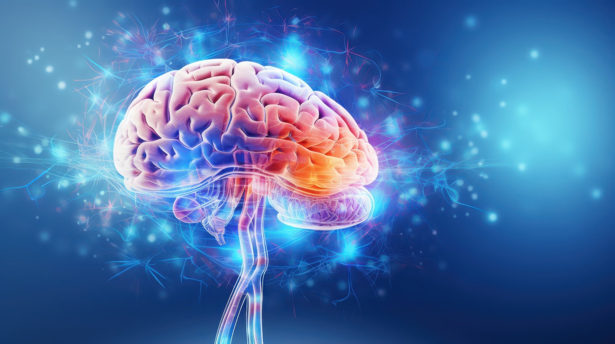 Study: Brain-wide information flow dynamics during novel visual processing in humans. Image Credit: MAXIMUM ART / Shutterstock