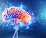 How does the brain recognize new faces and places in milliseconds?
