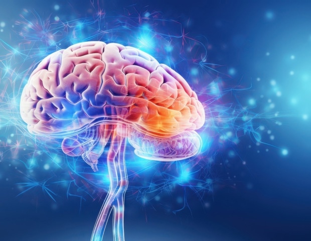 How does the brain recognize new faces and places in milliseconds?