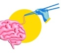 How food and alcohol cues leave different signatures in the brain