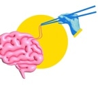 How food and alcohol cues leave different signatures in the brain