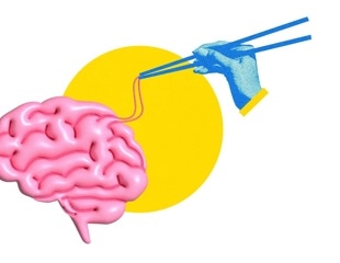 How food and alcohol cues leave different signatures in the brain