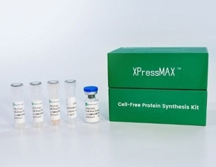 Sino Biological launches XPressMAX™ Cell-Free Protein Synthesis Kit, accelerating AI-powered high-throughput antibody drug discovery