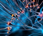 Voltammetry and machine learning for real-time neurotransmitter detection