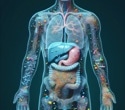 How microplastics and bacteria interact to drive antibiotic resistance