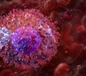 Silica nanoparticles dampen early allergy signals in mouse mast cells