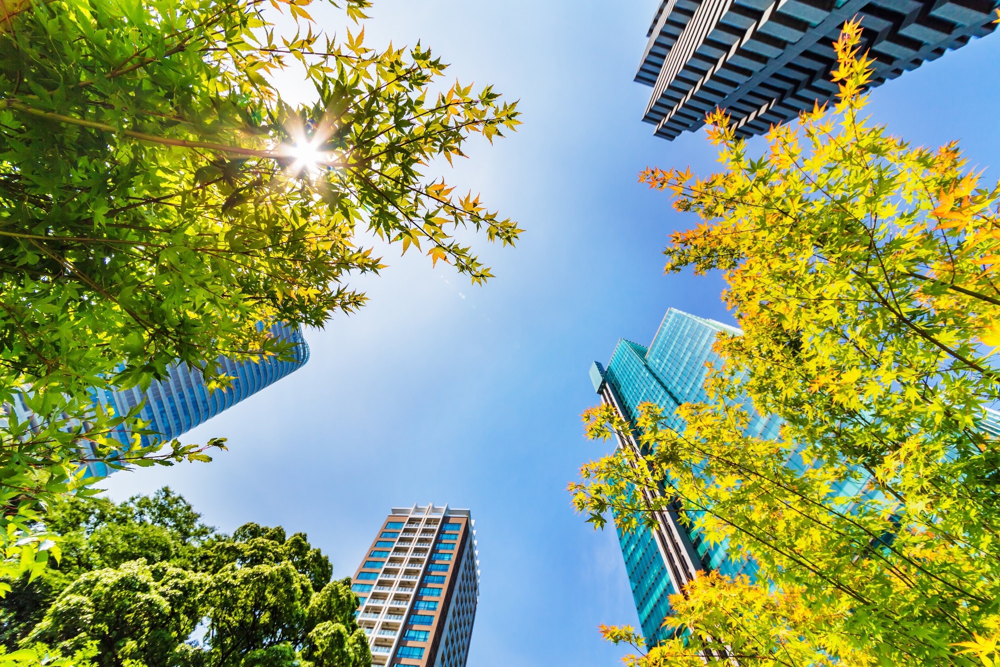 Review: The future of nature-based recreation in warming tropical cities. Image Credit: taka1022 / Shutterstock