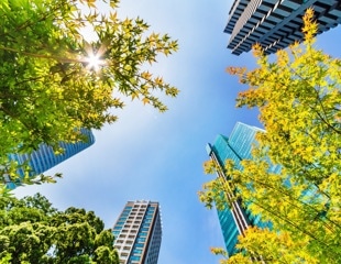 How heat-smart cities can protect outdoor recreation in a warming world