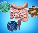 How the right diet could support the gut bacteria that matter most