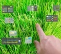 Can AI help build a fairer food system from farm to plate?