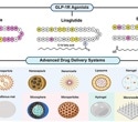 Scientists rethink GLP-1 delivery to improve dosing, tolerability, and adherence
