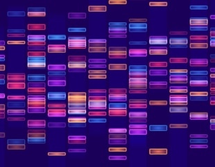 Scientists uncover shared gene signatures that reveal how mammals age