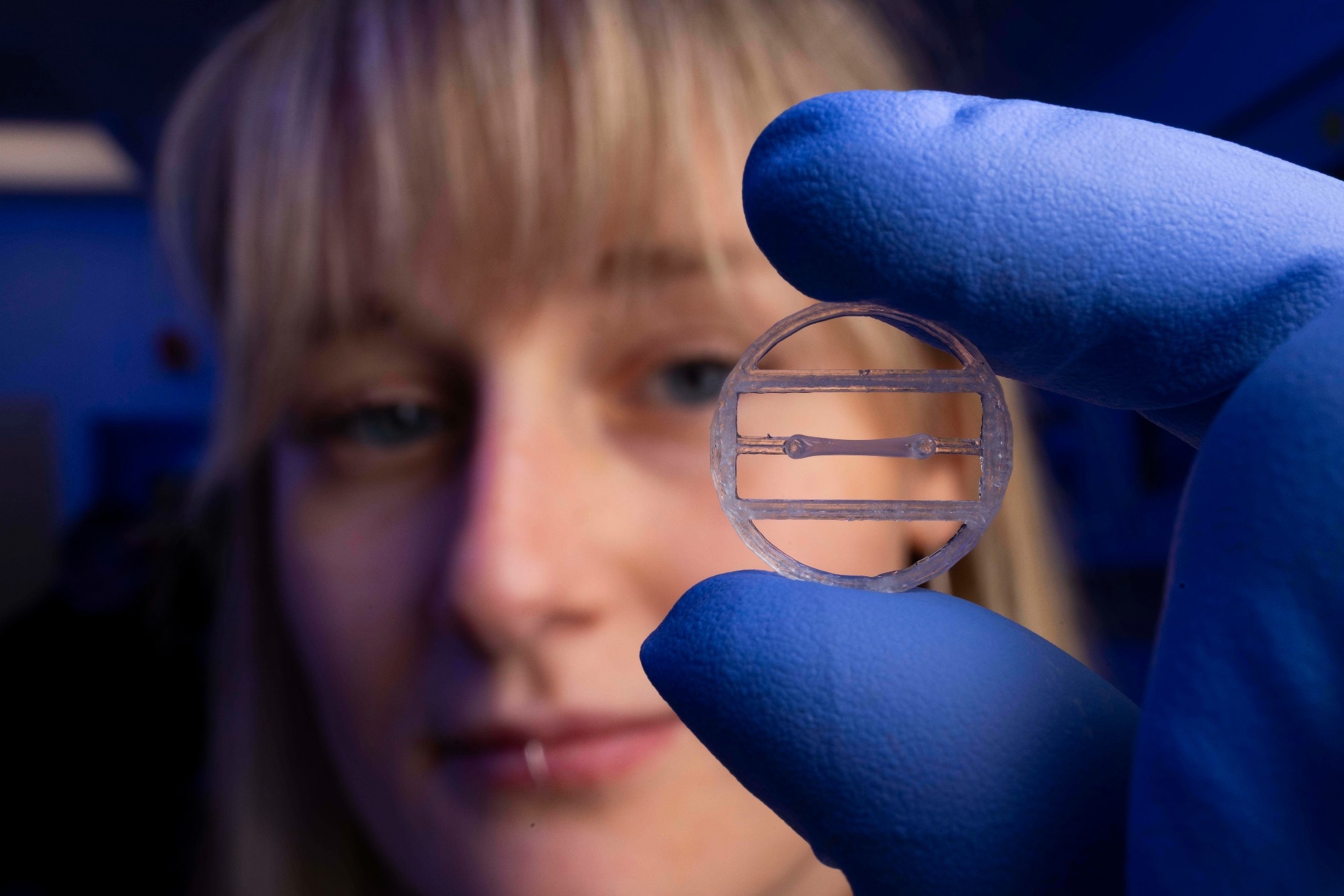 Lab-grown human muscle tissue held in a 3D-printed scaffold for drug testing and disease research.