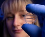 Advancing Human Muscle Models for Drug Development and Preclinical Testing