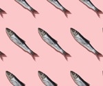 The right seafood choices can help diets meet health and climate goals