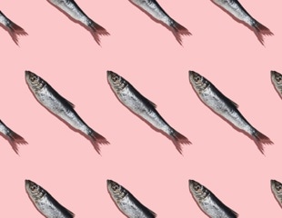 The right seafood choices can help diets meet health and climate goals