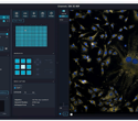 Advancing 3D imaging, automation, and phenotypic discovery with AI-driven high-content screening